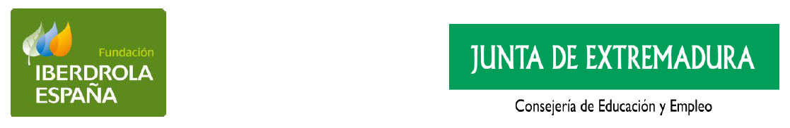 Iberdrola Logo